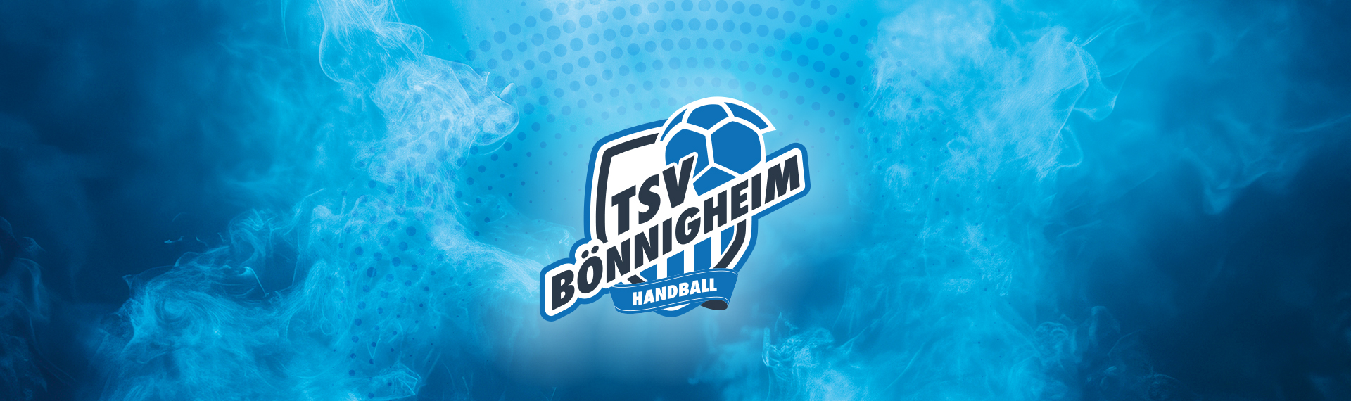 TSVB Logo